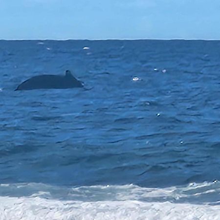 Moorea Temae Bungalow Lory Bord De Mer Εξωτερικό φωτογραφία