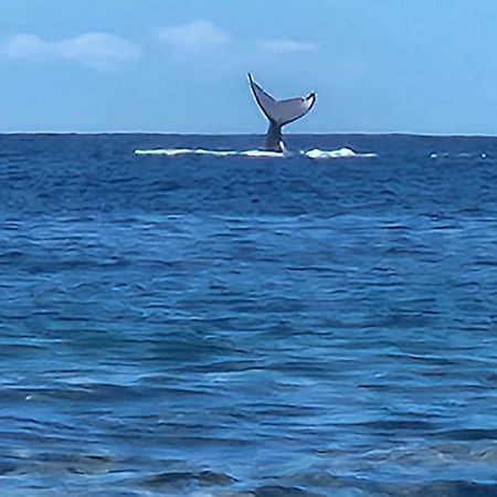Moorea Temae Bungalow Lory Bord De Mer Εξωτερικό φωτογραφία