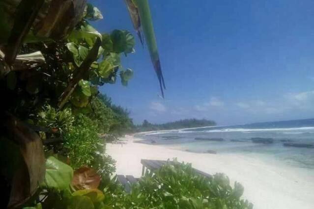 Moorea Temae Bungalow Lory Bord De Mer Εξωτερικό φωτογραφία