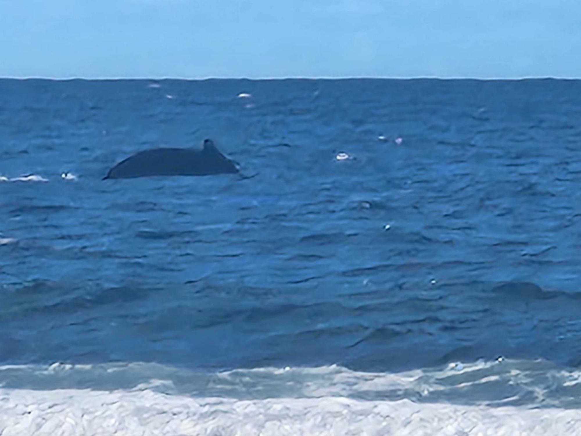 Moorea Temae Bungalow Lory Bord De Mer Εξωτερικό φωτογραφία