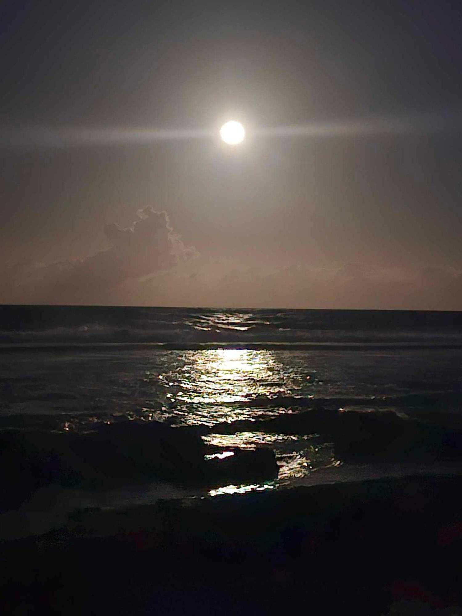 Moorea Temae Bungalow Lory Bord De Mer Εξωτερικό φωτογραφία